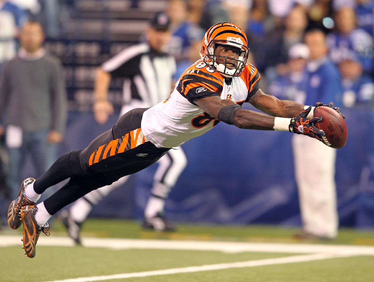 Save on Cincinnati Bengals