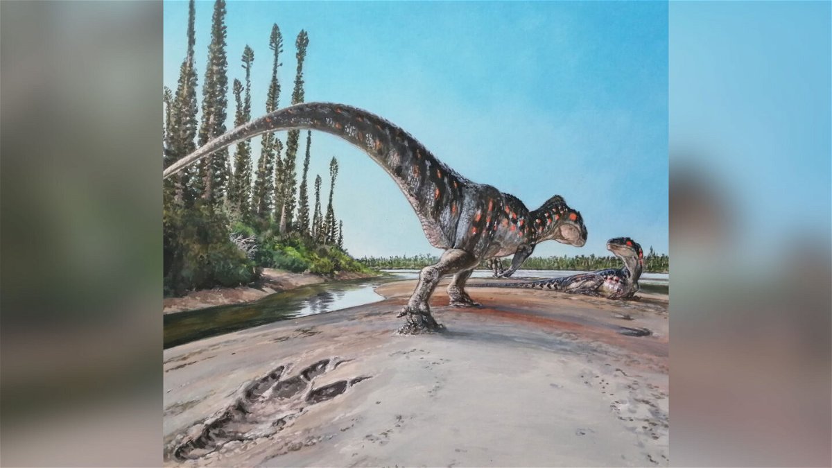 <i>James McKay/University of Manchester</i><br/>This illustration shows a Megalosaurus