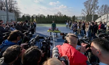 The Serbian tennis star told reporters in Belgrade that he would "love to be there" at this year's US Open.
