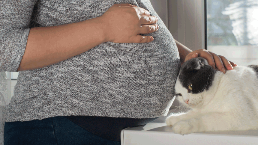 62455-pregnant-woman-and-cat