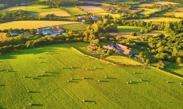 Moo-ve over single-family homes: The hottest real estate investment this year may be farmland