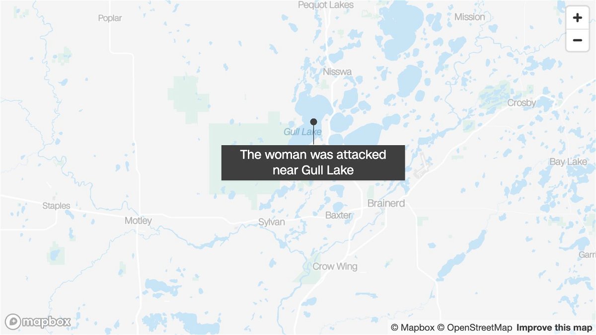 <i>Mapbox</i><br/>A woman sustained serious but not life-threatening injuries after being attacked by a bear near Gull Lake in Minnesota.