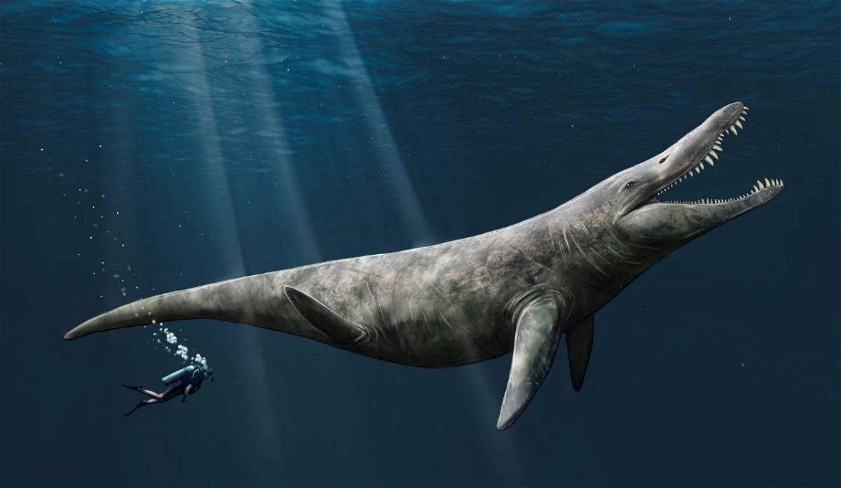 This ancient dinosaur would give today's blue whale a run for its money