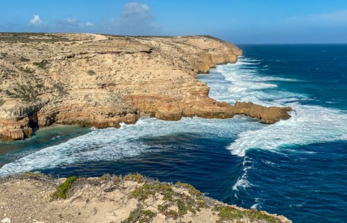 A teacher is feared dead after he was attacked by a shark while surfing on Saturday. Pictured is a coastline near Elliston in South Australia.
