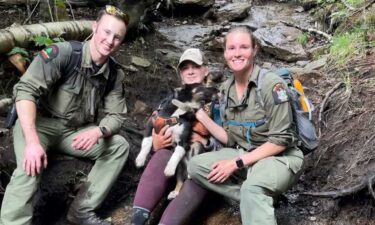 DEC Rangers Ordway and O'Connor are pictured here with Wilson and his owner.