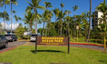 A few days after swimming at Richardson Beach in Hilo