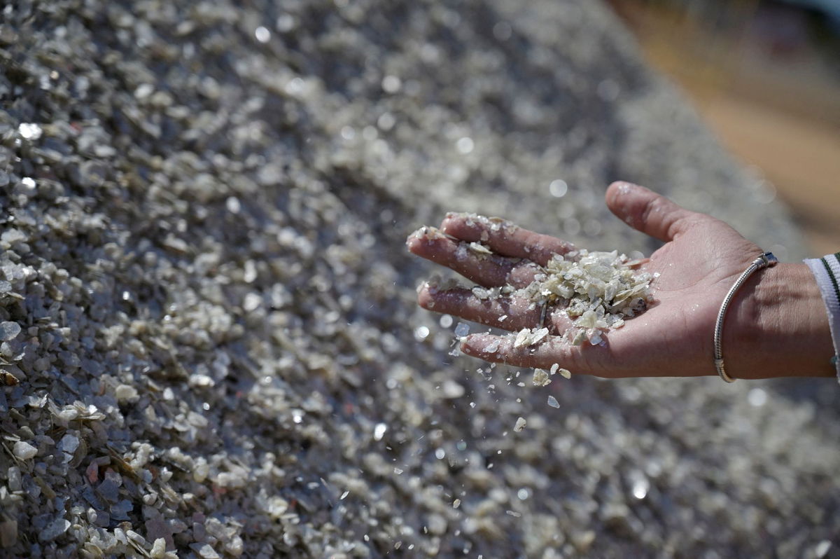 <i>Washington Alves/Reuters/FILE</i><br/>A worker of Sigma Lithium Corp SGML.V takes samples at the Grota do Cirilo mine in Itinga