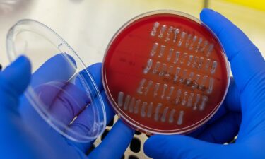 A medical-technical assistant prepares E-coli strains for analysis.