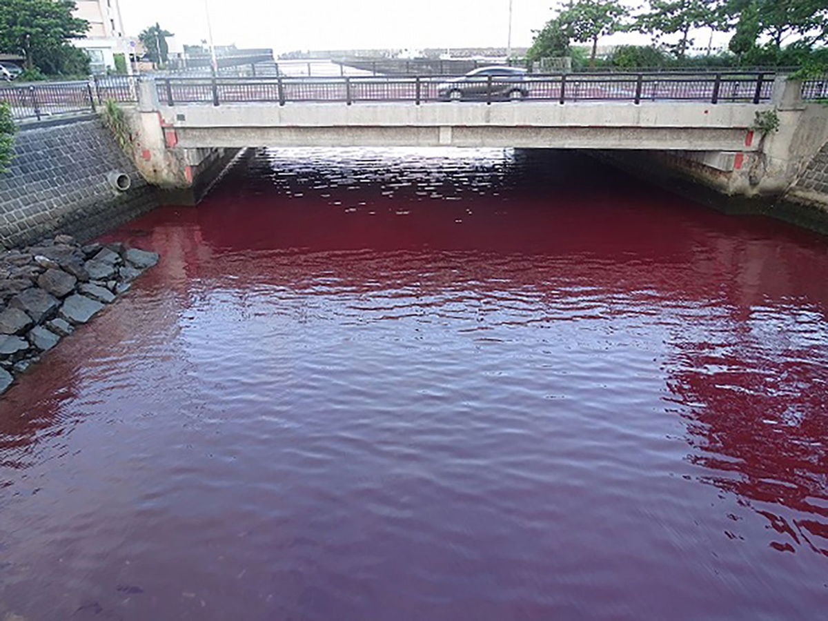 <i>11th Regional Coast Guard Headquarters</i><br/>The red seawater is thought to have been caused by a coolant leak at the brewery.