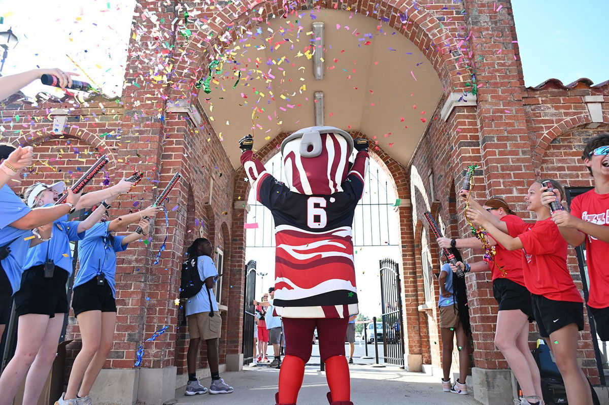 Bacon Is Now an Awesome Baseball Team's Awesome Logo