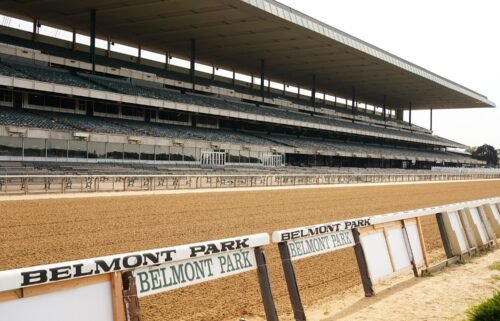 A horse died at Belmont Park after sustaining an injury during a race.