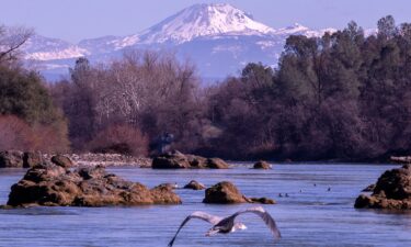 Seen here is a view of the Sacramento River downstream from Keswick Dam