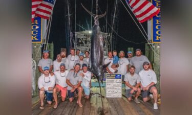 The crew of Sensation posed with the massive blue marlin that was disqualified by fishing tournament officials.