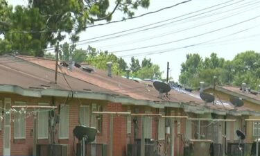 Public housing residents at the R.V. Taylor Plaza and Thomas James Place apartments in Mobile