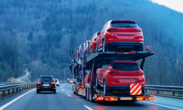 Was the 'urban exodus' real? Car shipping CEO weighs in