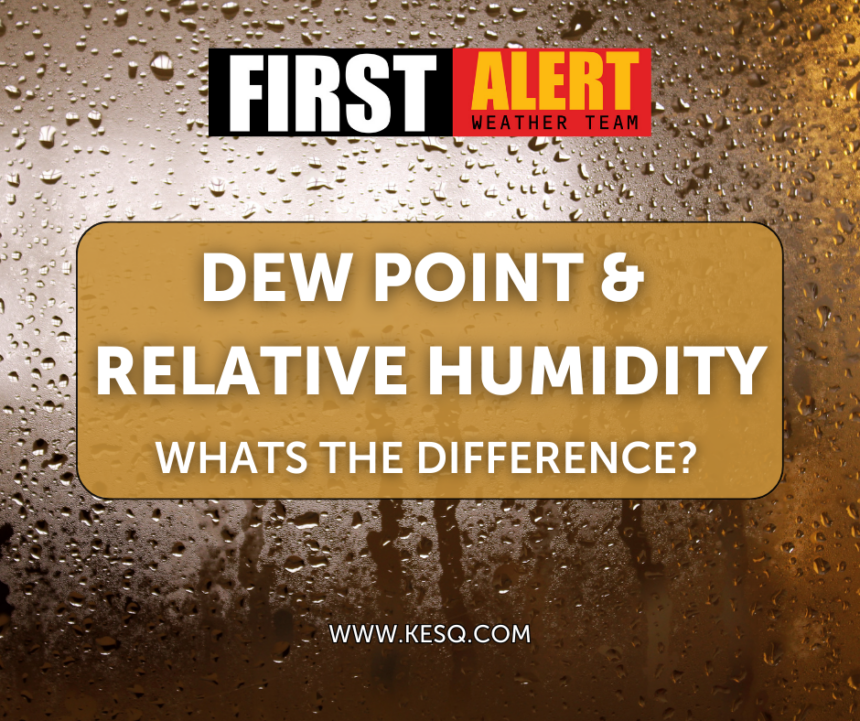 Humidity vs. dew point: What they actually mean for your forecast