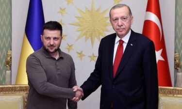 Turkish President Recep Tayyip Erdogan (right) met with Ukraine's President Volodymyr Zelensky in Istanbul