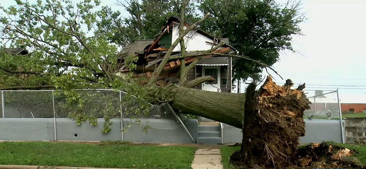 ‘A disaster area’ Strong storms cause tree to fall on Granite City home ...