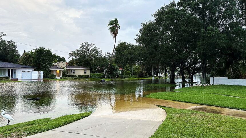 Deadly Tropical Storm Idalia floods parts of South Carolina, including  Charleston, after pummeling Florida