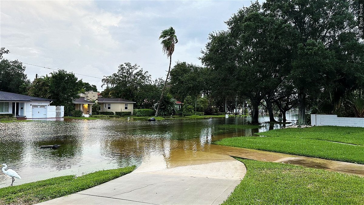 PHOTO: Street flooding from Hurricane Idalia, Photo Date: 8/30/2023
