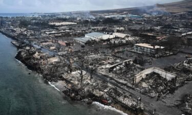 An aerial image taken on August 10 shows destroyed homes and buildings on the waterfront burned to the ground in Lahaina in the aftermath of wildfires in western Maui