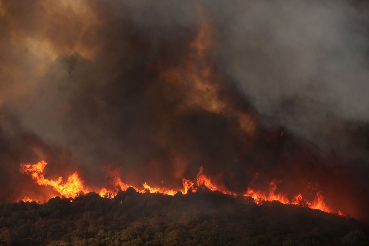 <i>Alexandros Avramidis/Reuters</i><br/>Destroyed corral where eighteen bodies were found following a wildfire near the village of Avantas.