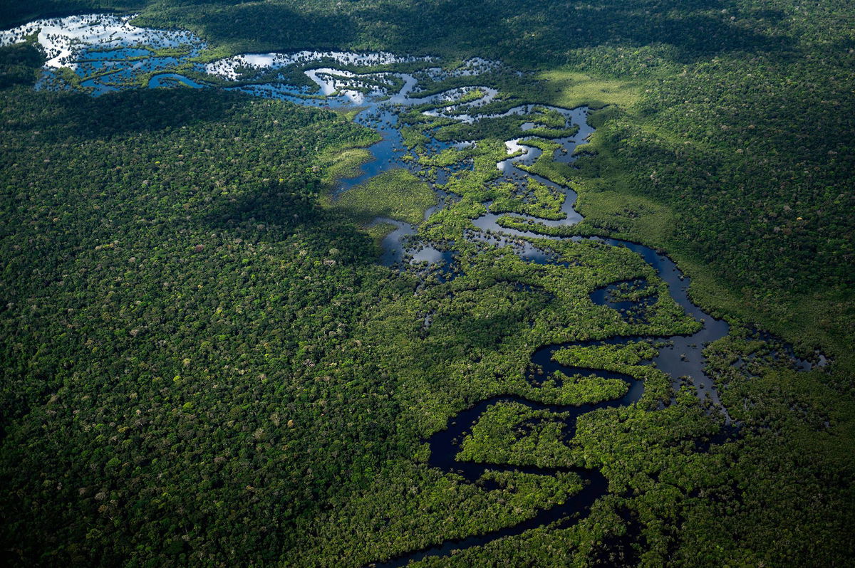 <i>Nelson Almedia/AFP/Getty Images</i><br/>A sawmill in Moraes Almeida in Para state