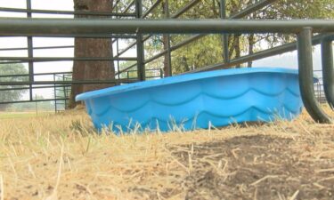 The site for the Sutherlin Rodeo is no acting as a shelter for evacuated families and their animals including livestock.