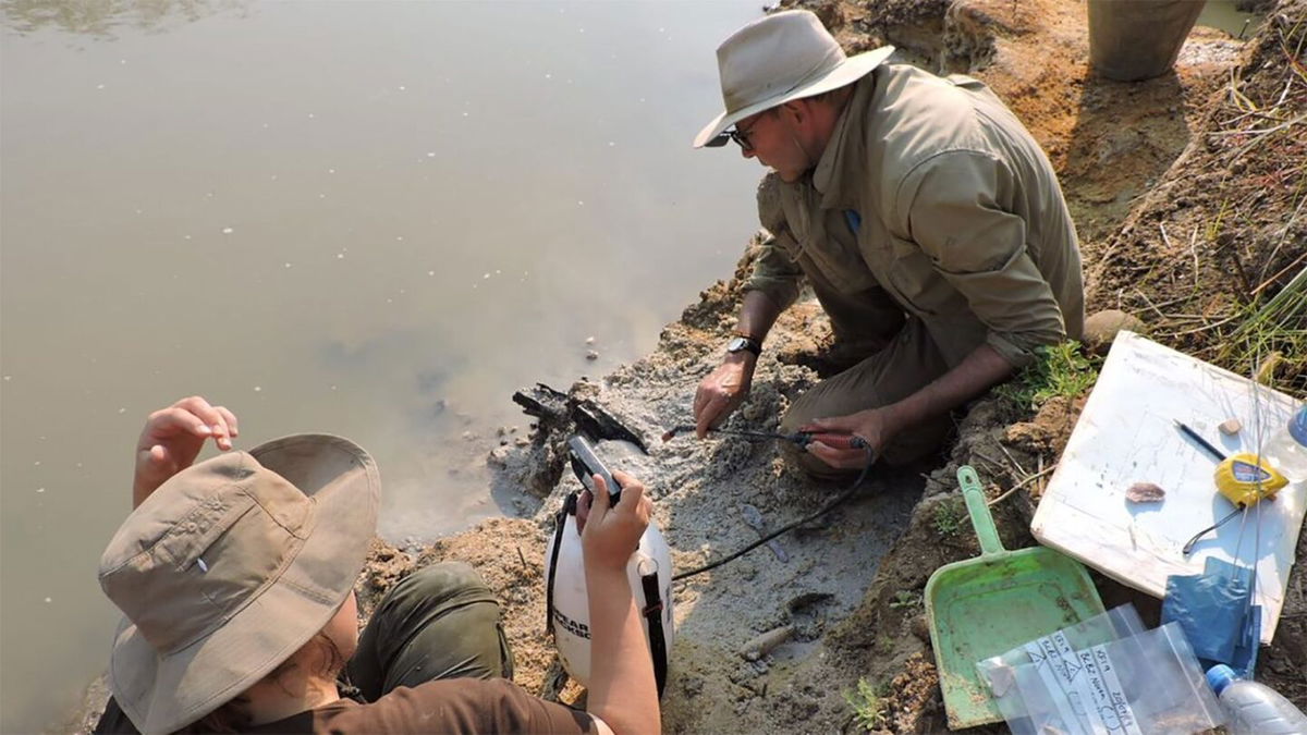 <i>Professor Geoff Duller/Aberystwyth University</i><br/>The wooden structure was found at an archaeological site upstream of Kalambo Falls in Zambia.