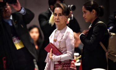 Suu Kyi's son