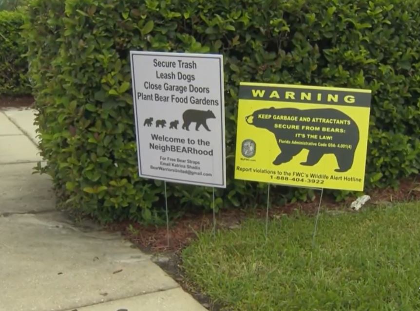 <i></i><br/>A bear was spotted over the weekend on the streets of a subdivision in Seminole County