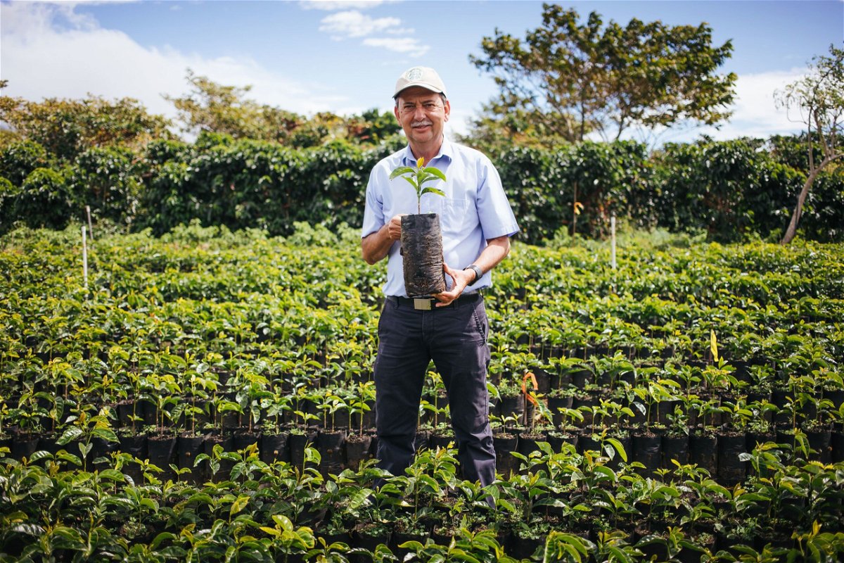 <i>Joshua Trujillo/Starbucks</i><br/>Starbucks has been working on developing new coffee varietals.