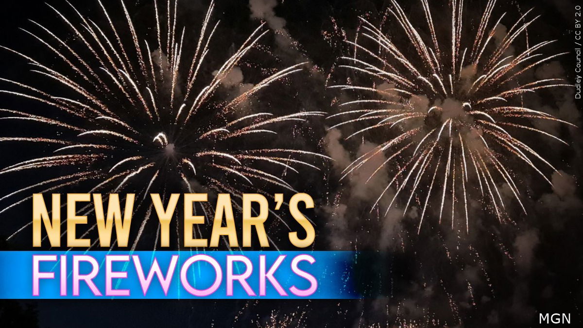 Fireworks and pet safety: How to ring in the New Year with your pets