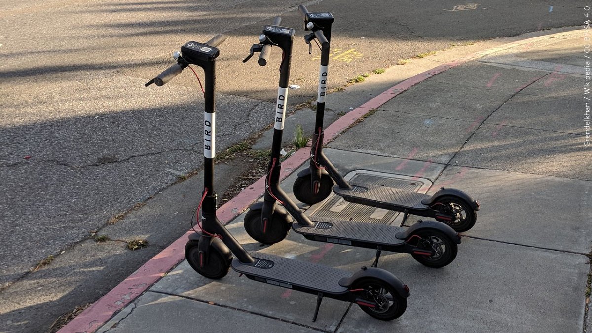 Bird rideshare electric scooters