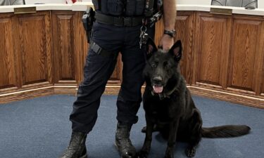 The Whiteland Police Department is stepping up for one of their own that has fallen ill. K-9 Riggs became sick recently and had to stay at an animal hospital in Beech Grove for treatment.