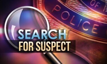 Suspect Search