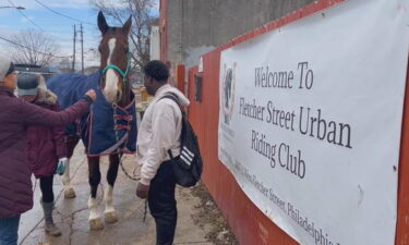 The viral horse that was captured on video galloping on I-95 early Tuesday morning now has a new name.