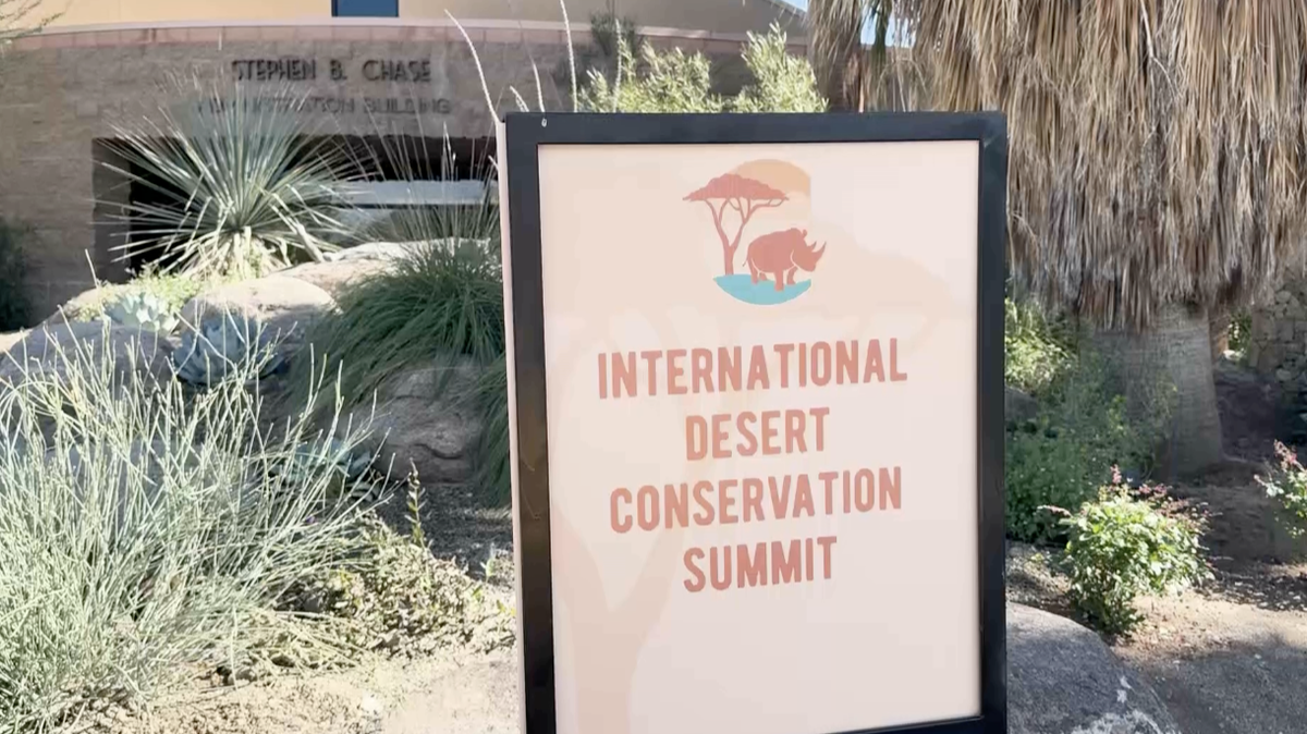 Conservation experts around the world gather in the Coachella Valley ...