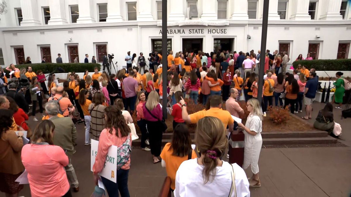 <i>CNN via CNN Newsource</i><br/>Protesters gathered outside the Alabama State House in Montgomery in the wake of the IVF ruling on February 28