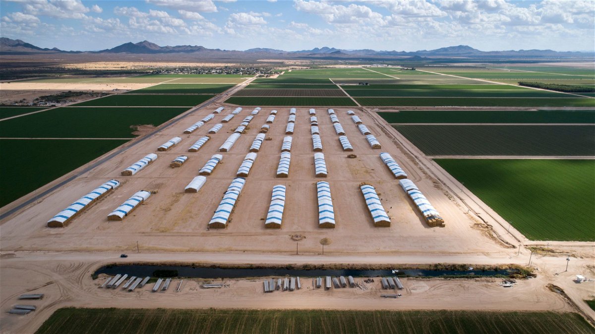 <i>Michael Chow/The Arizona Republic/USA Today Network/File via CNN Newsource</i><br/>Hay is stacked in rows at Al Dahra Farms' McMullen Valley Ranch in Wenden