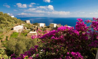 The Italian island of Alicudi has been overrun by six times its desired number of goat inhabitants.