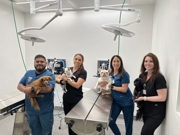 L to R: Registered Vet Tech Robert Torres, Dr. Itzel Vizcarra. Registered Vet Tech Erica Morrow and Registered Vet Tech Rashelle Drake at the new surgery suite.