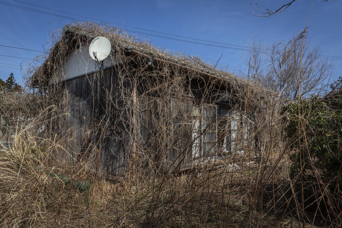 <i>Akio Kon/Bloomberg/Getty Images/File via CNN Newsource</i><br/>Overgrown vegetation surrounds a vacant house in the Yato area of Yokosuka City