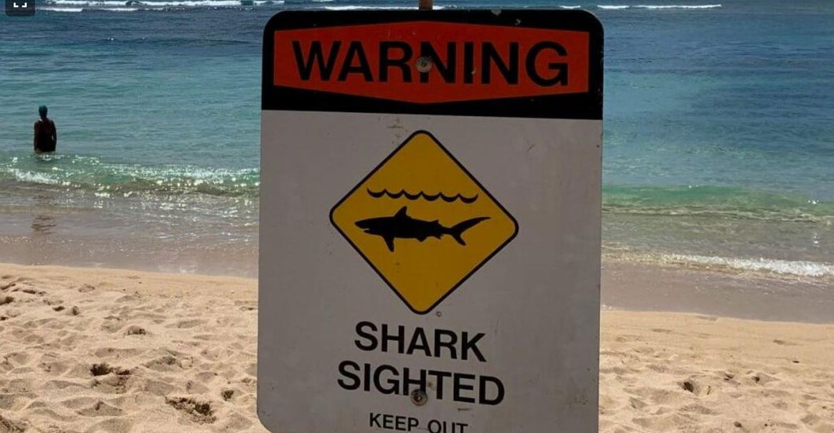 <i>KITV via CNN Newsource</i><br/>Shark warning signs have been posted at Magic Island