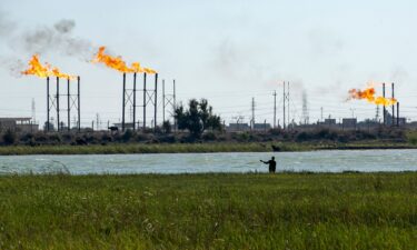 An Iraqi man herds his water buffalos on the Shatt al-Arab river next to the Nahr Bin Omar oil field and facility near Iraq's southern port city of Basra on April 4