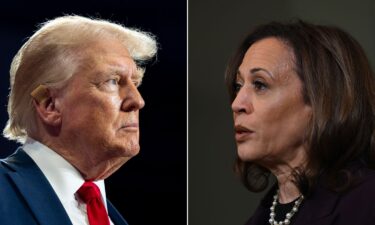 Vice President Kamala Harris went on the offensive on immigration at her rally in Atlanta on July 30