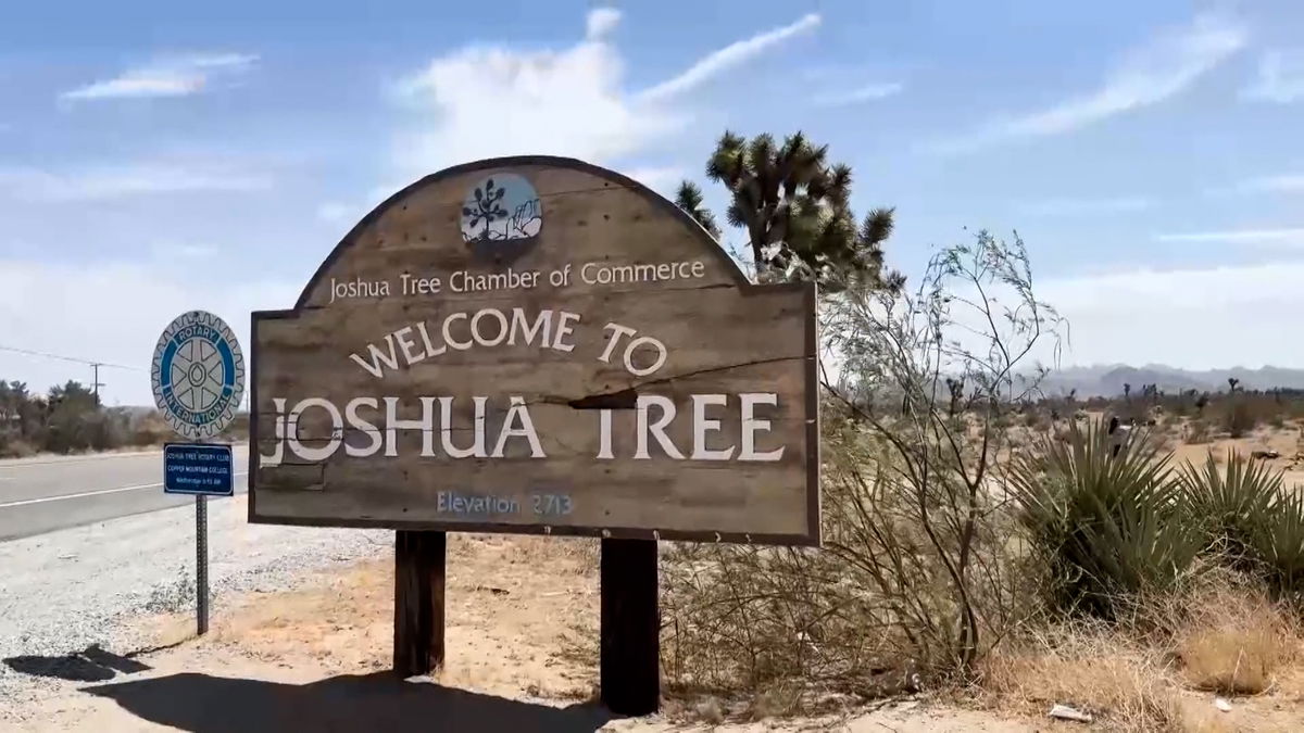 Guests flock to Joshua Tree National Park to watch the Perseid meteor shower; the park advises stargazers to go elsewhere