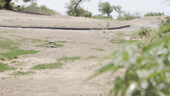 <i>KGUN via CNN Newsource</i><br/>A portion of the El Conquistador Golf Course in Oro Valley covered in dust from the monsoon winds.