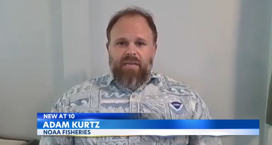 <i>KITV via CNN Newsource</i><br/>Adam Kurtz is NOAA Fisheries Marine Wildlife Management Coordinator.