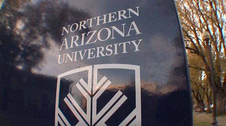 <i>KNXV via CNN Newsource</i><br/>Several Northern Arizona University students are being treated for rabies after bats were found in their dormitory.